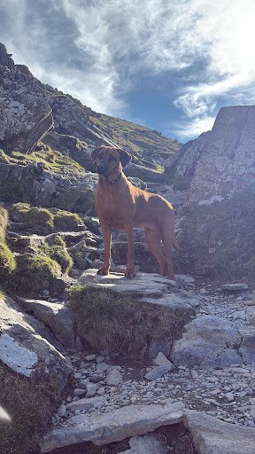 Photo from customer review