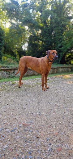 Photo from customer review